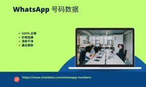 WhatsApp 号码数据