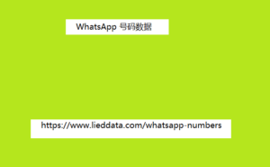 WhatsApp 号码数据