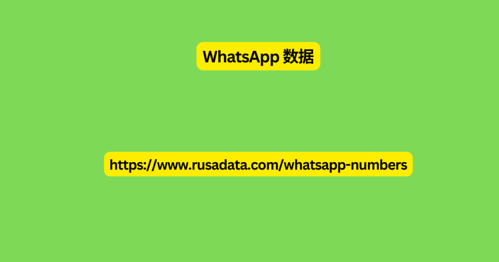 WhatsApp 数据